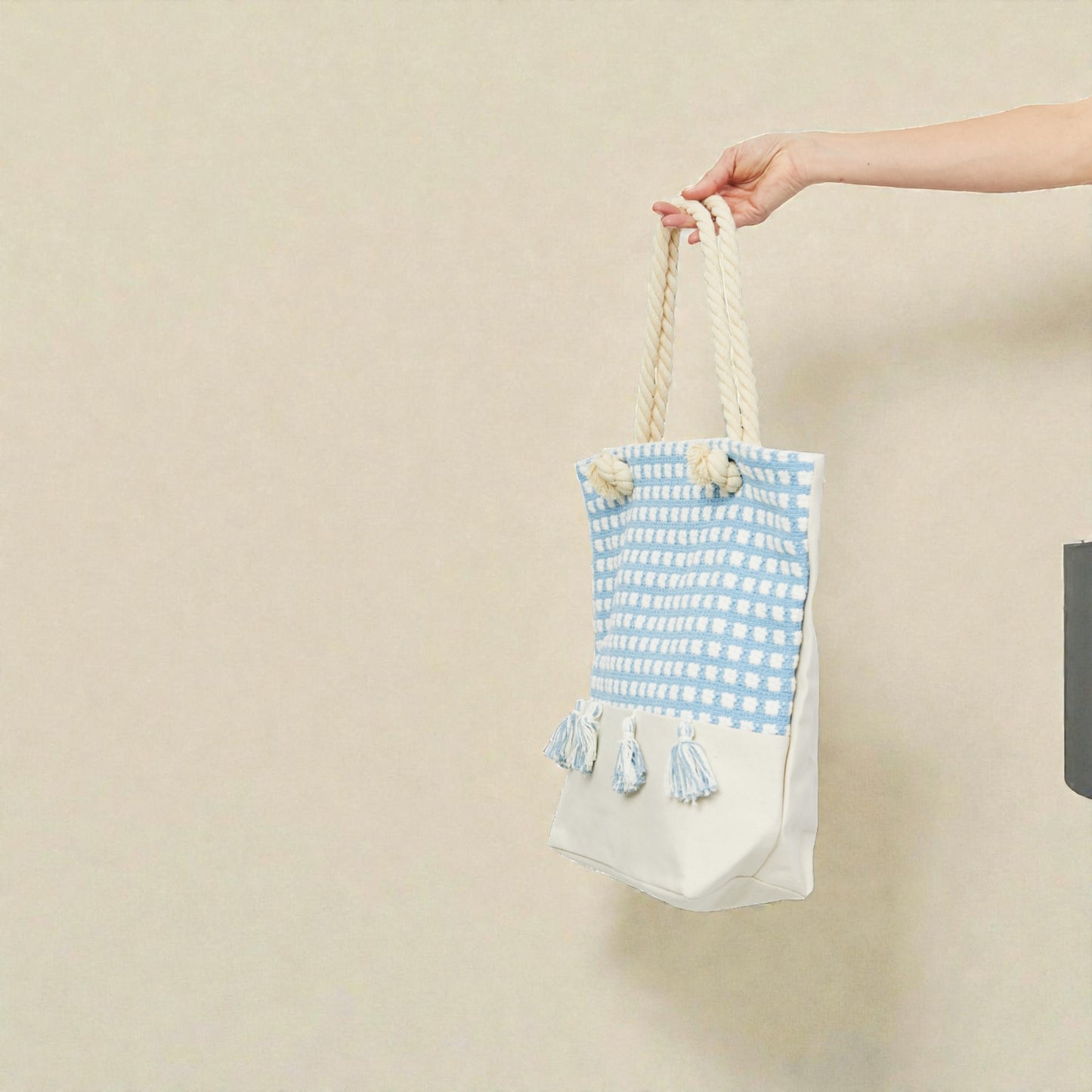 Hand holding a blue and white checkered bag with tassels against a beige background