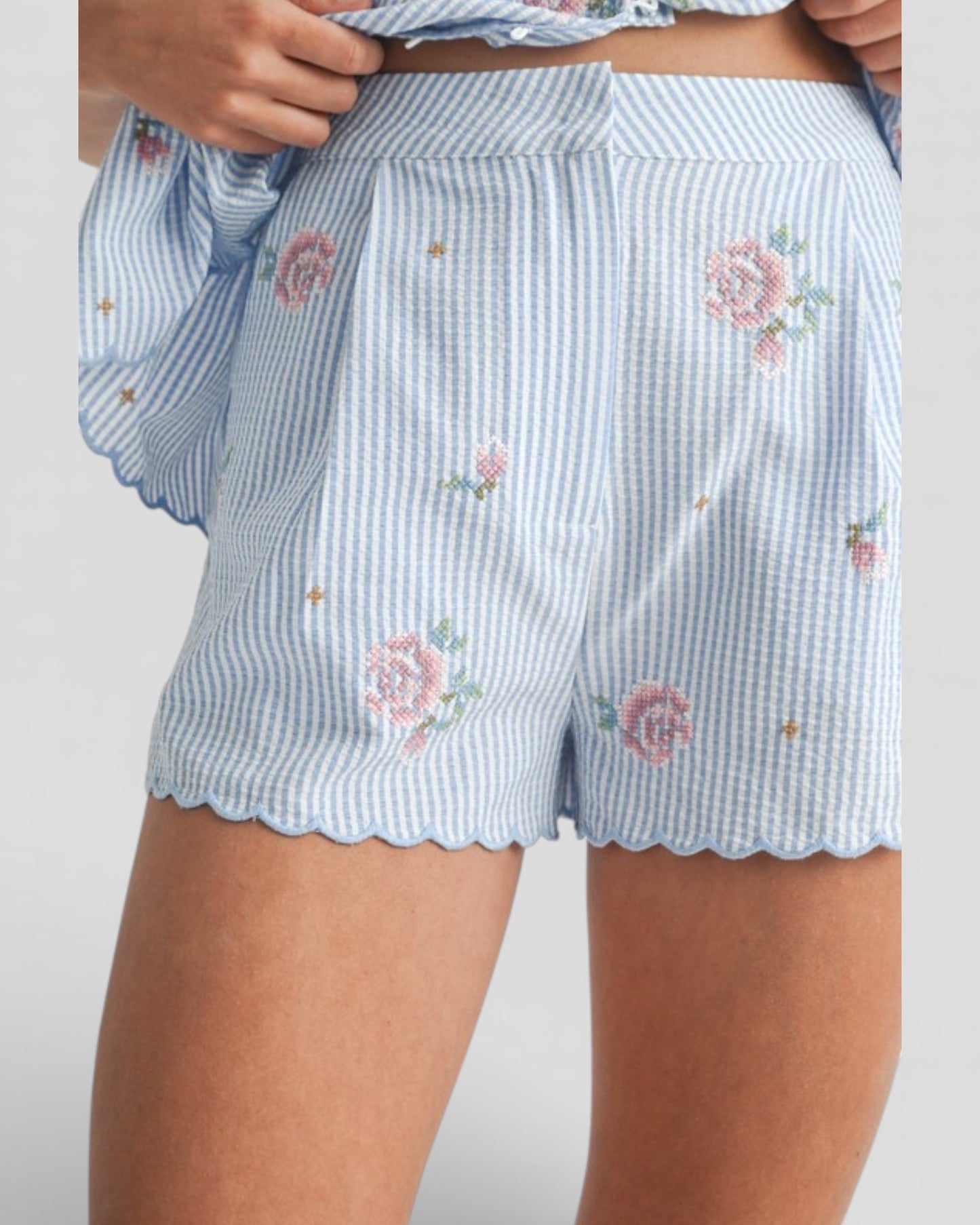 Blue and white striped shorts with floral embroidery on a plain background