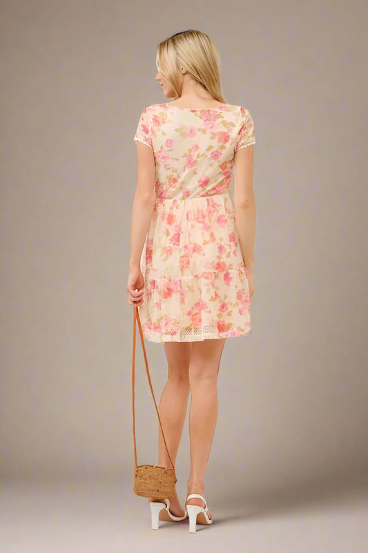 And the Why - Mesh Floral Mini Dress in Cream & Pink