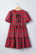 Kaylor Sleeve Mini Shift Dress-4