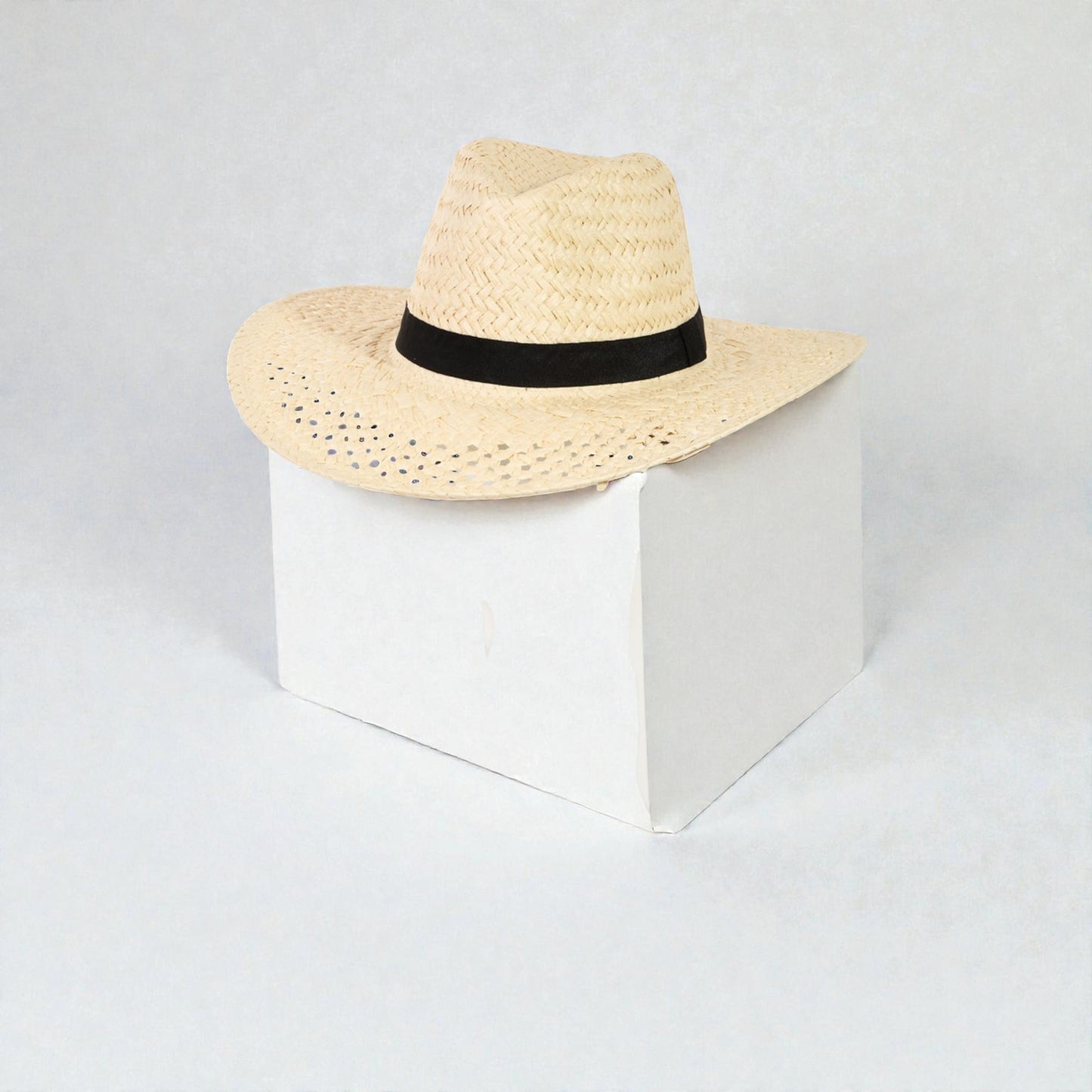 Beige straw hat with a black band on a white cube against a light gray background