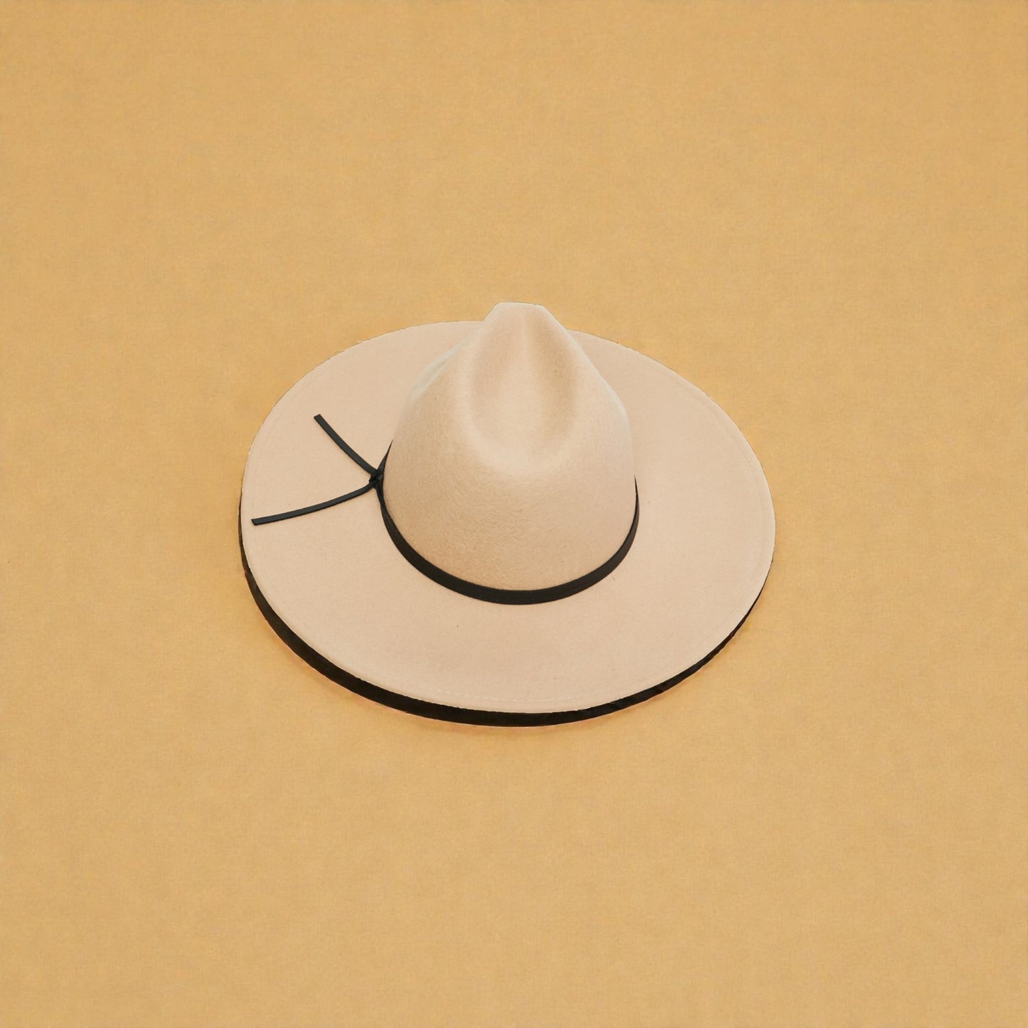 Beige wide-brimmed hat with a black band on a beige background