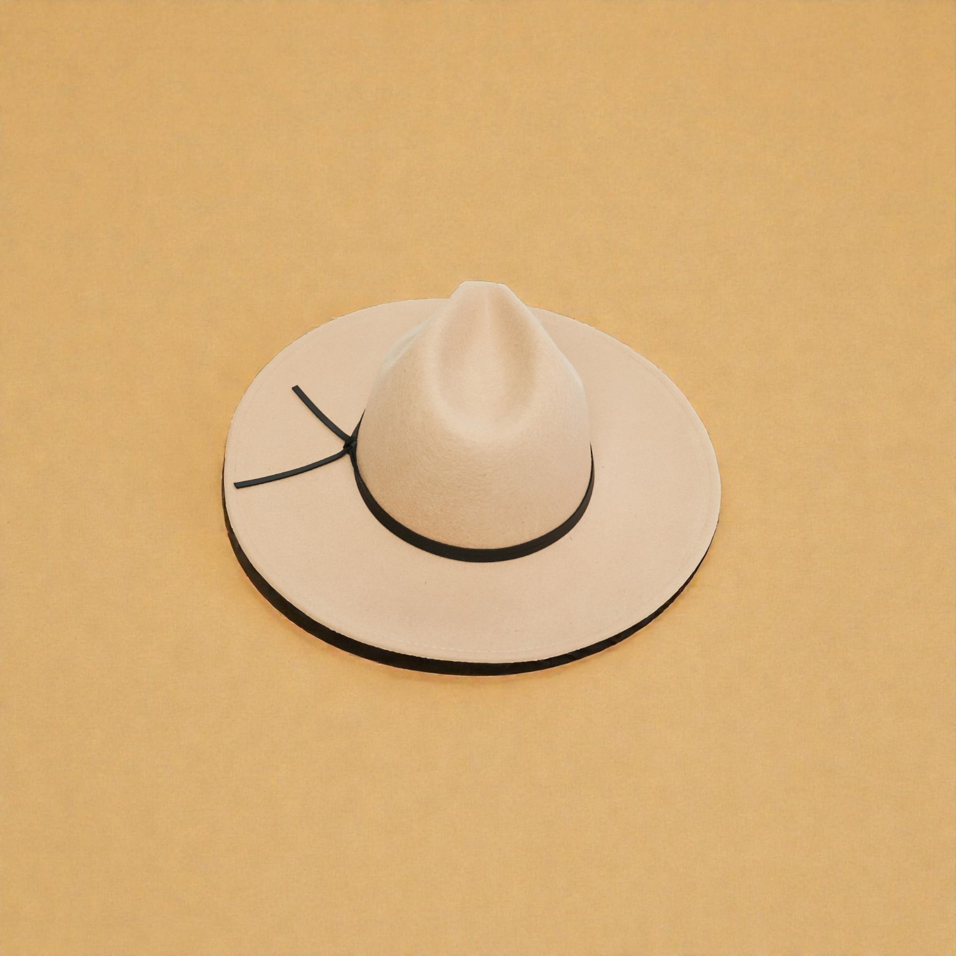 Beige wide-brimmed hat with a black band on a beige background