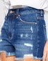 Dark Wash High Rise Distressed Denim Shorts