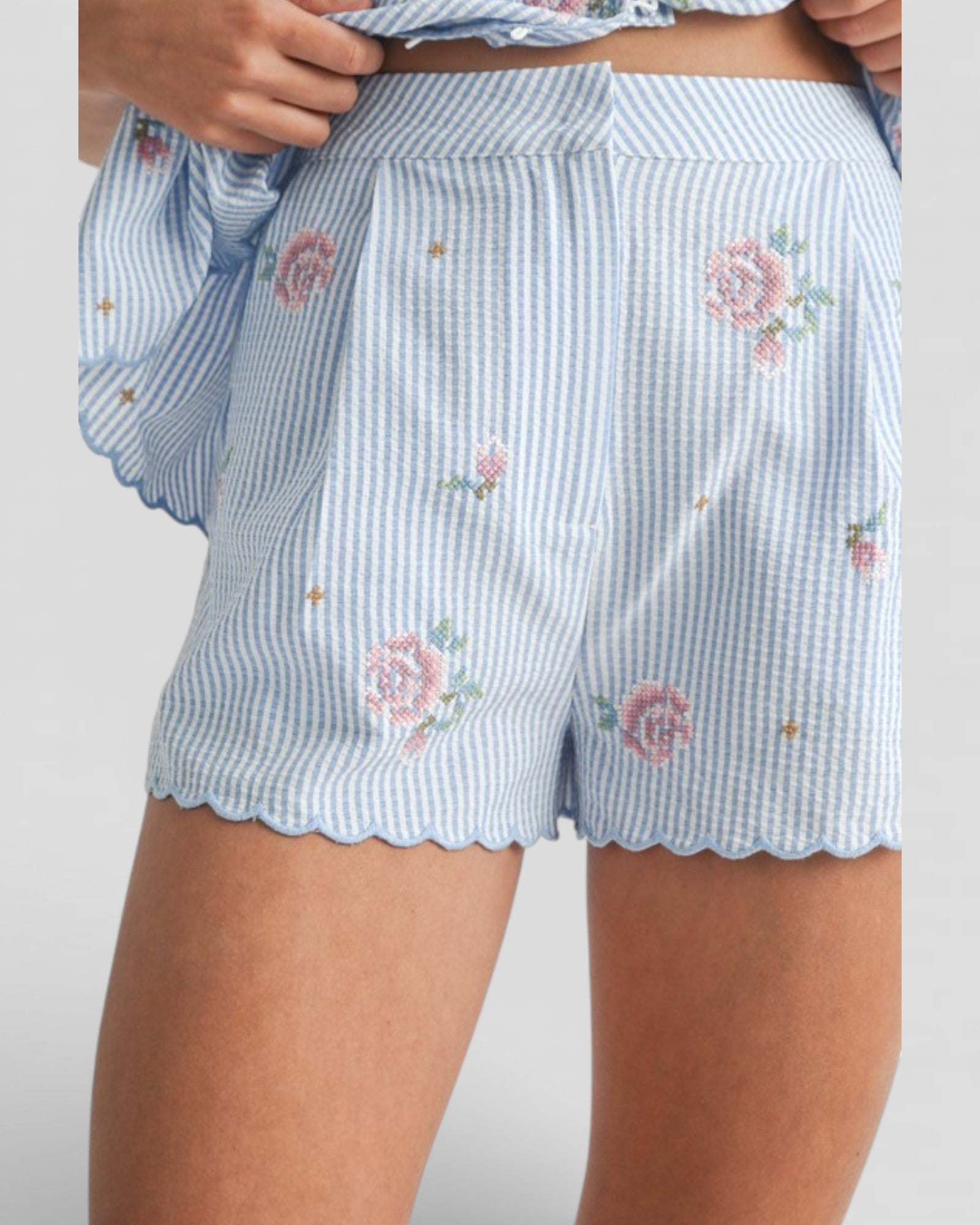 Blue and white striped shorts with floral embroidery on a plain background