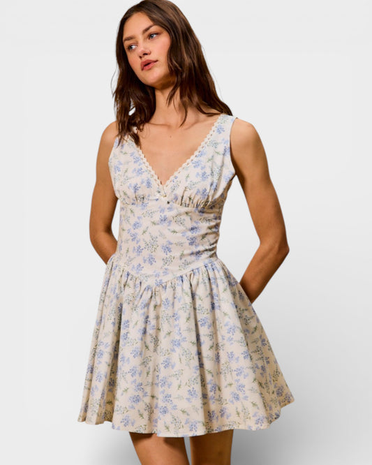Cream & Blue Floral Sleeveless Mini Dress