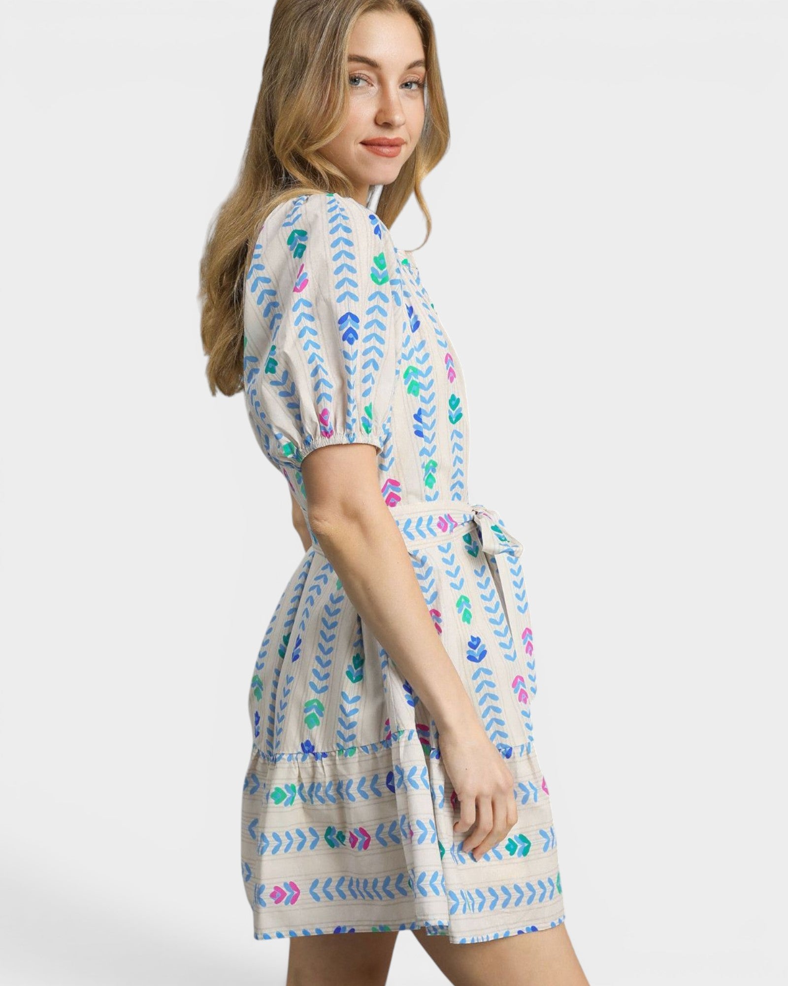 Natural Multi Embroidered Mini Dress