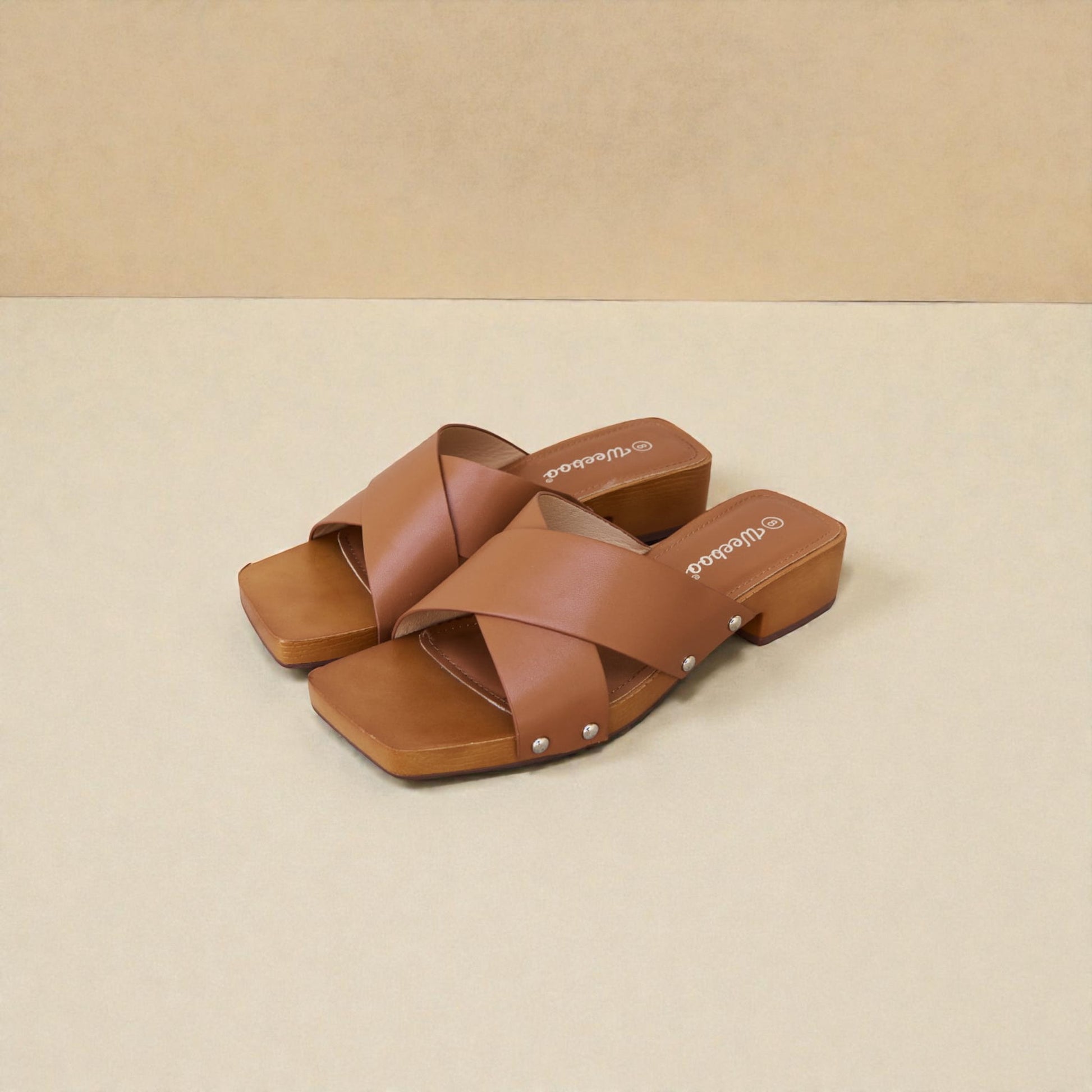 Pair of brown sandals on a beige background