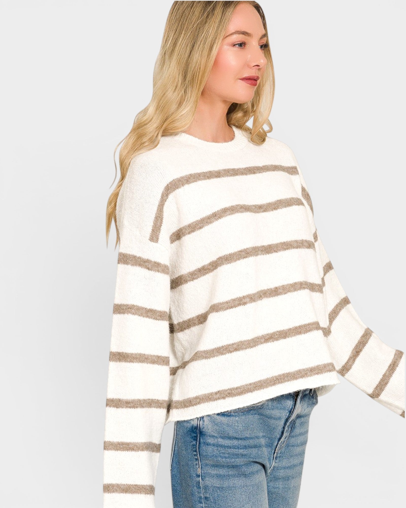 Mocha Stripe Knit Sweater