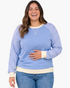 Beach Rose Co. plus size blue sweatshirt with gingham raglan sleeves, cream trim, and decorative neckline stitching.