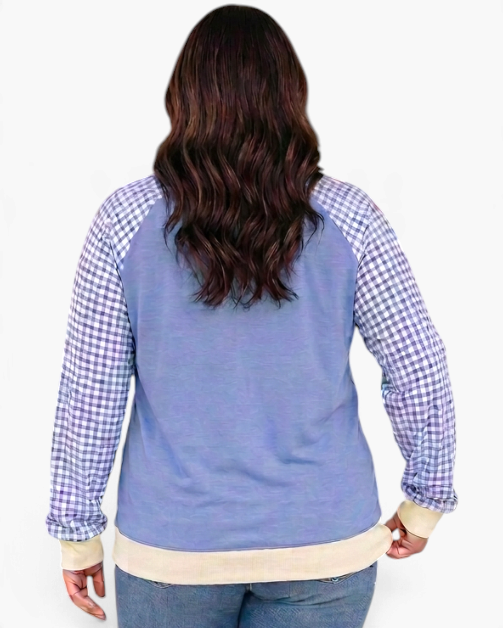 Beach Rose Co. plus size blue sweatshirt with gingham raglan sleeves and cream banded hem, back view