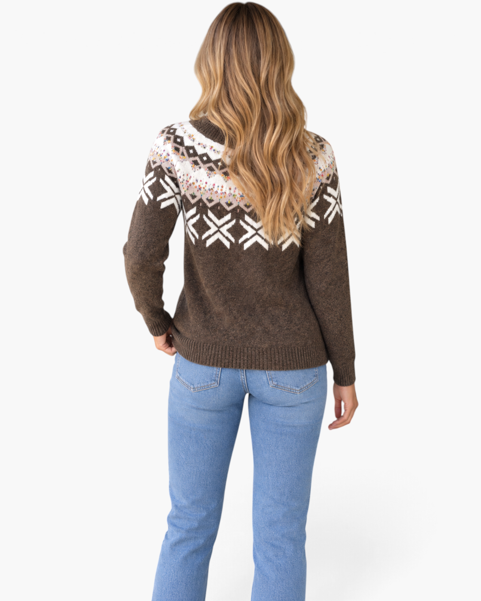Beach Rose Co. brown knit sweater with ivory Fair Isle pattern and colorful confetti flecks, back view on a model.