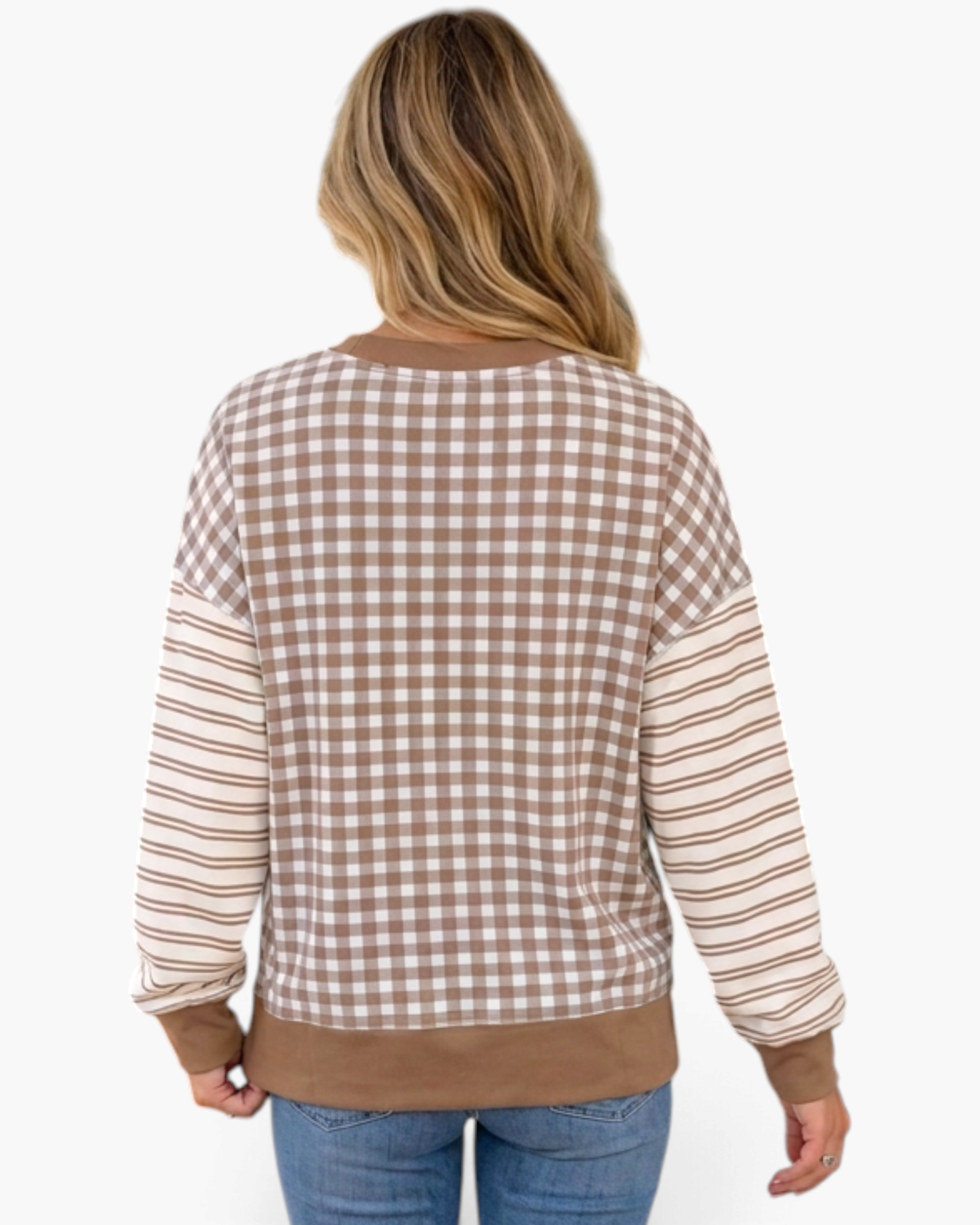 Beach Rose Co. taupe and cream gingham sweatshirt with striped sleeves and solid ribbed hem, back view.