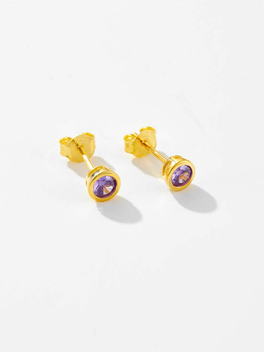 Beach Rose Co. - Inlaid Amethyst Zircon Stud Earrings