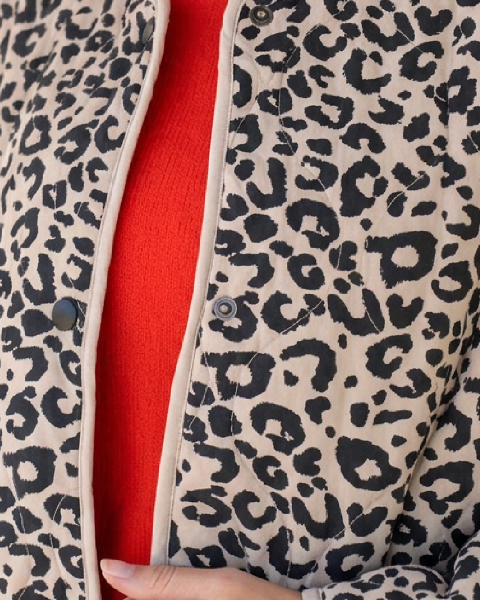 Beach Rose Co. beige and black leopard print quilted snap-front jacket with beige trim worn over a red sweater