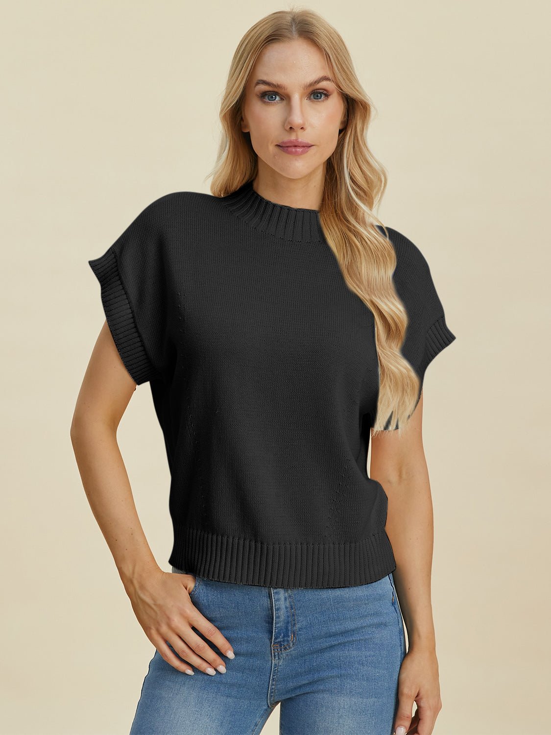 Double Take - Crew Neck Short Sleeve Sweater