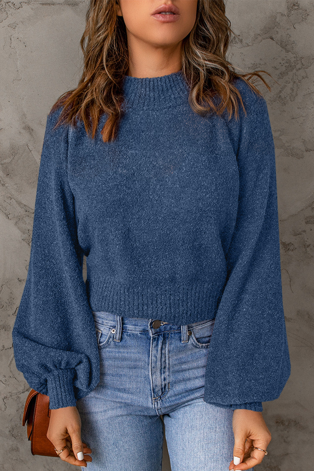 Rib Knit Trim Balloon Sleeve Sweater