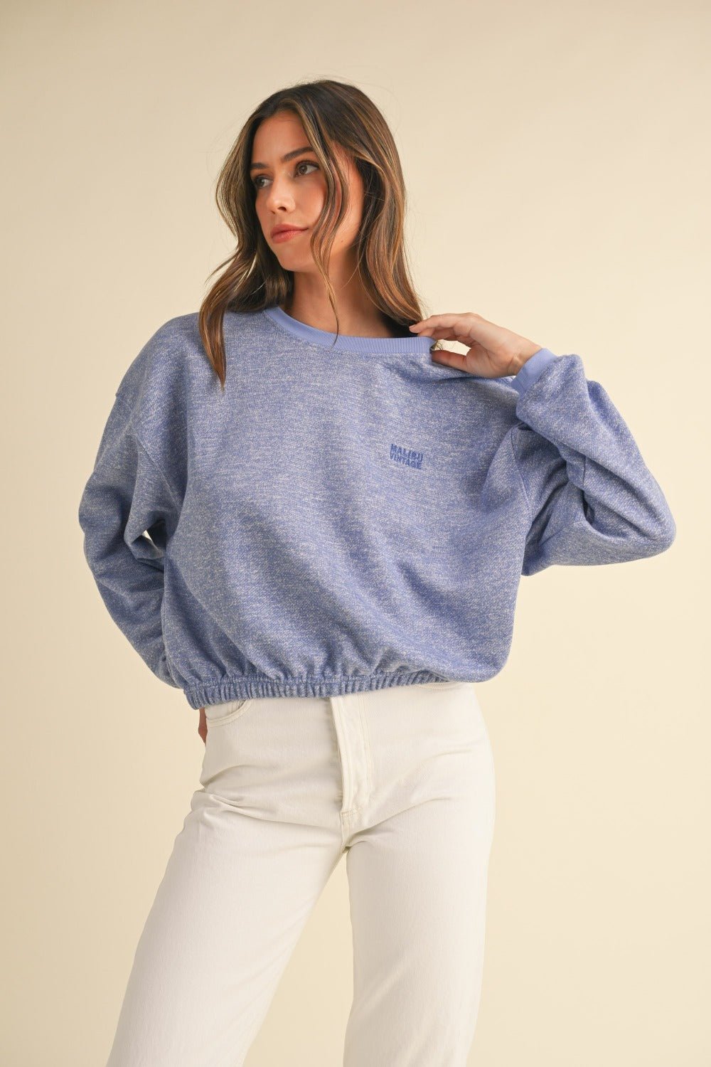 Mable - Crew Neck Malibu Vintage Embroidered Crop Sweatshirt in Blue Purple