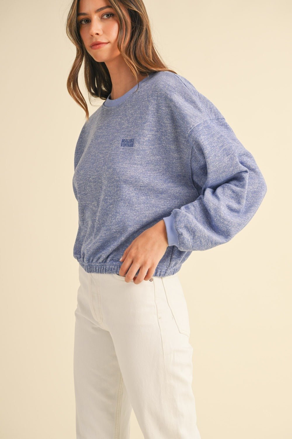 Mable - Crew Neck Malibu Vintage Embroidered Crop Sweatshirt in Blue Purple