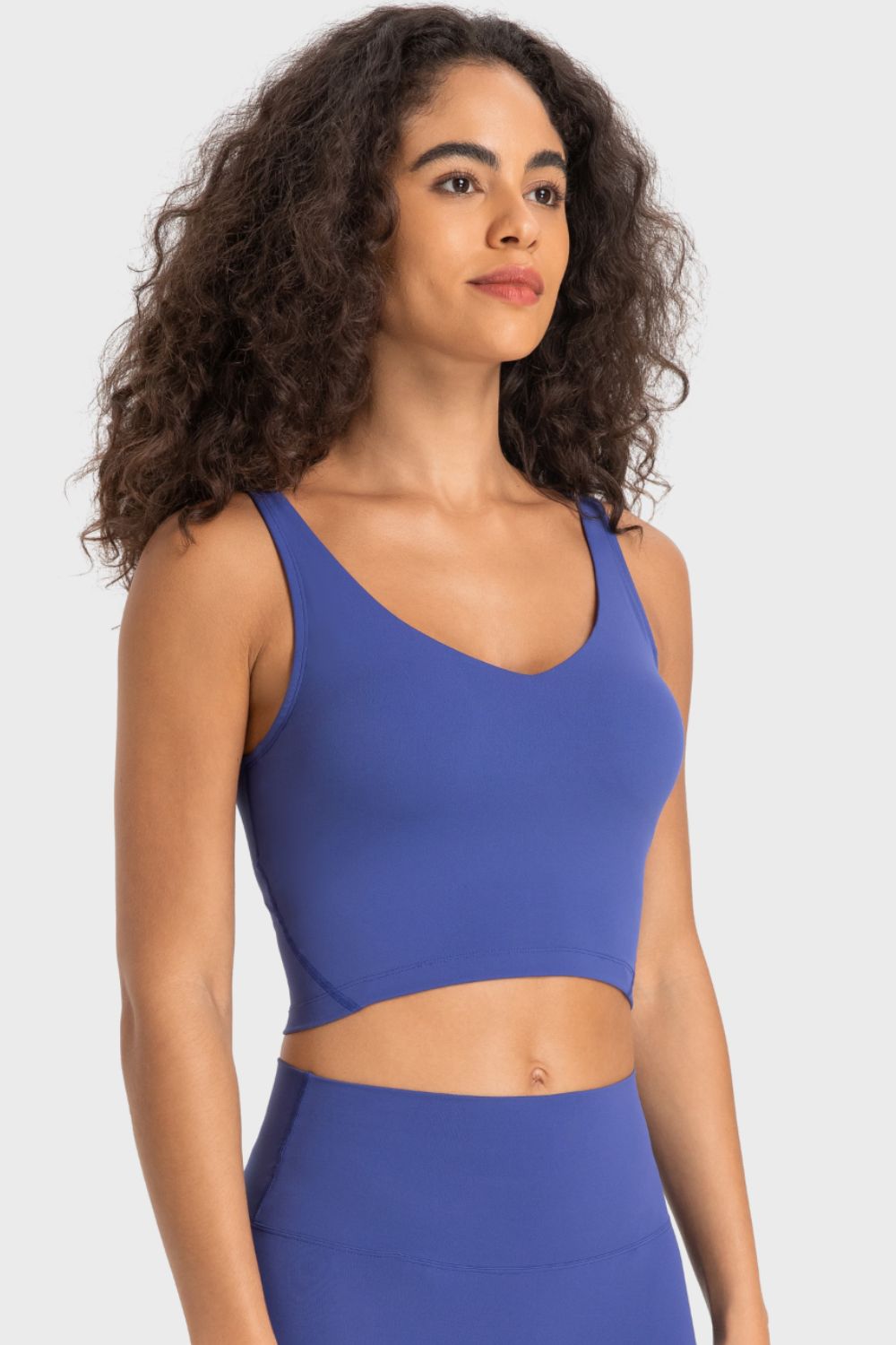 Beach Rose Co.Deep V - Neck Crop Sports Bra