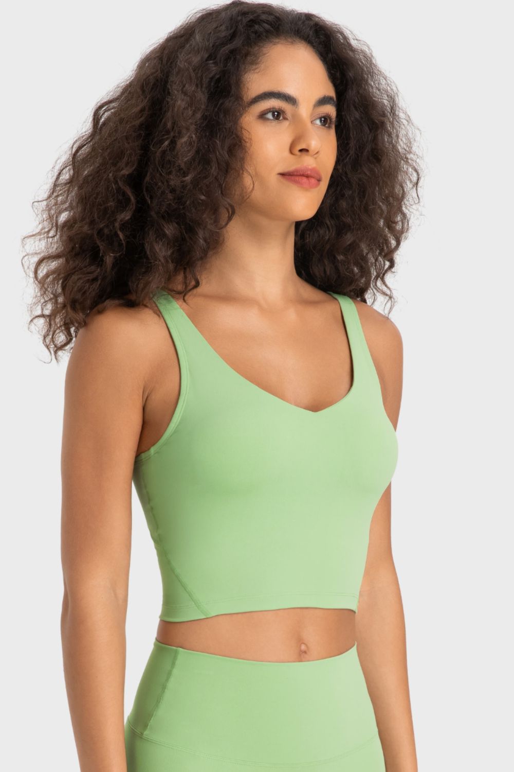 Beach Rose Co.Deep V - Neck Crop Sports Bra