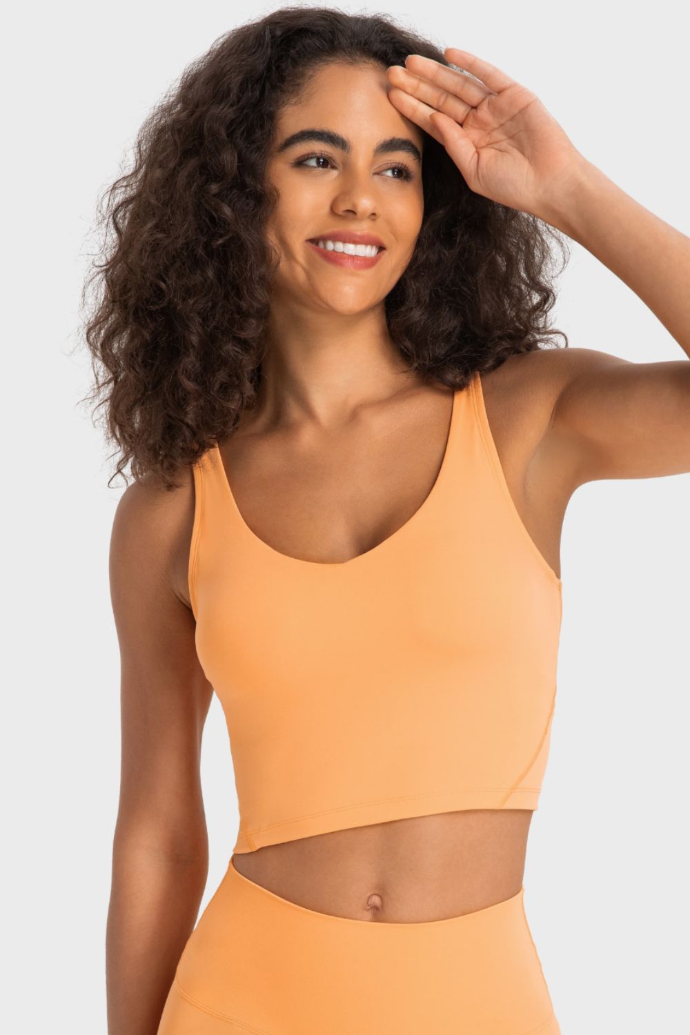 Beach Rose Co.Deep V - Neck Crop Sports Bra