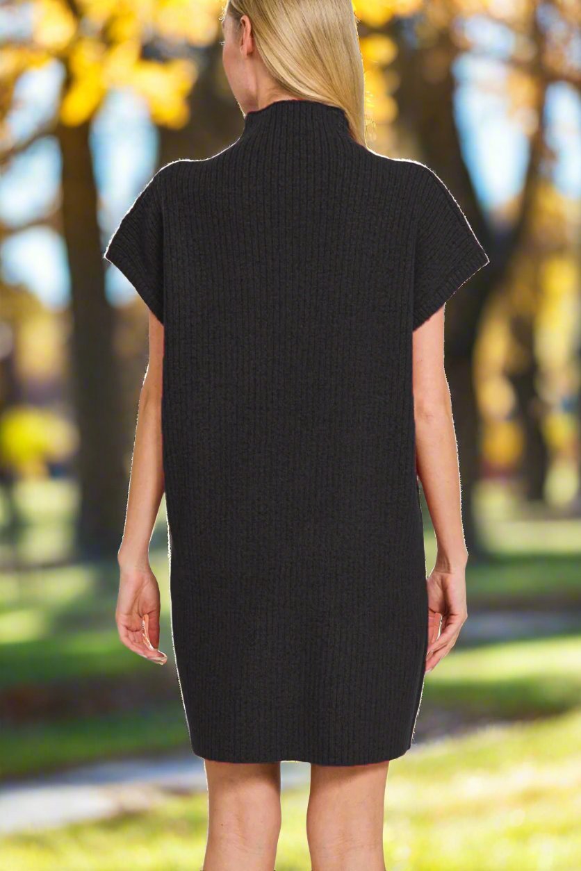 ZenanaShort Sleeve Mini Sweater Dress in Black